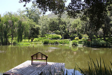Enlarge photo 16