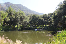 Enlarge photo 17