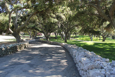 Enlarge photo 25