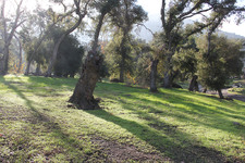 Enlarge photo 26