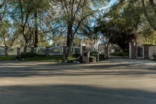 Enlarge photo 98