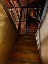Enlarge photo 91