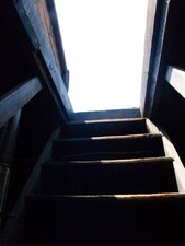 Enlarge photo 102