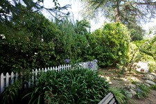 Enlarge photo 113