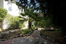 Enlarge photo 115