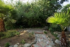 Enlarge photo 122