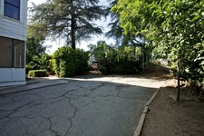 Enlarge photo 125