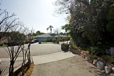 Enlarge photo 129