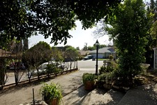Enlarge photo 130