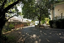 Enlarge photo 136