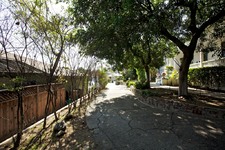 Enlarge photo 144