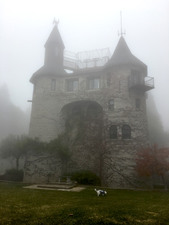 Enlarge photo 21