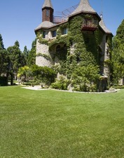 Enlarge photo 26