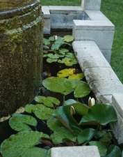 Enlarge photo 44