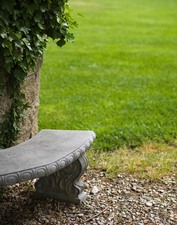 Enlarge photo 47