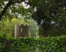 Enlarge photo 48