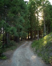 Enlarge photo 51