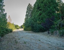 Enlarge photo 52
