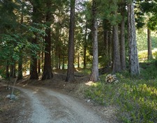 Enlarge photo 53