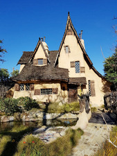 Enlarge photo 14