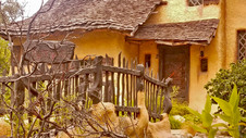 Enlarge photo 16