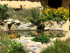 Enlarge photo 31