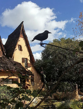 Enlarge photo 34