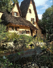 Enlarge photo 35