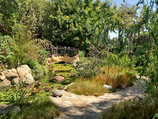 Enlarge photo 36