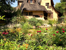Enlarge photo 37