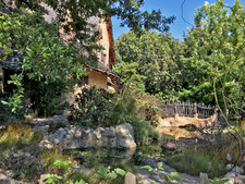 Enlarge photo 38