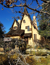 Enlarge photo 39