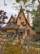 Enlarge photo 40