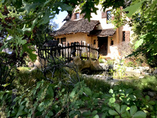 Enlarge photo 41