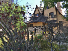 Enlarge photo 43