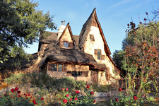 Enlarge photo 44