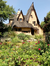 Enlarge photo 45