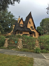 Enlarge photo 46