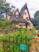 Enlarge photo 47