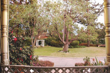 Enlarge photo 10