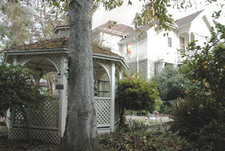 Enlarge photo 53