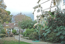Enlarge photo 60