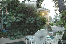 Enlarge photo 62