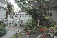 Enlarge photo 64