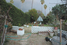 Enlarge photo 67