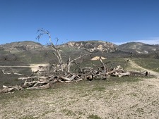 Enlarge photo 32
