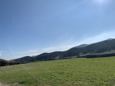 Enlarge photo 38
