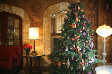 Enlarge photo 124