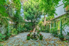 Enlarge photo 63