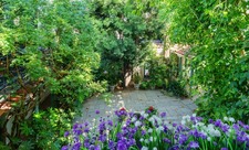 Enlarge photo 64